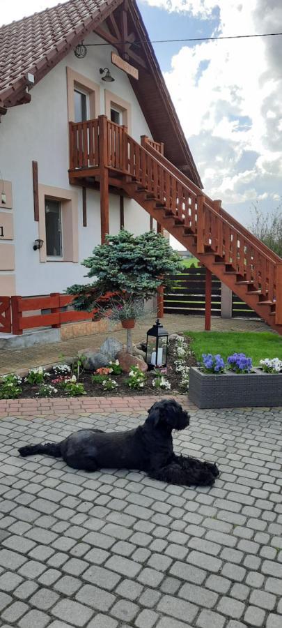 Ferienwohnung Liwa Garden Krzywa 11 Exterior foto