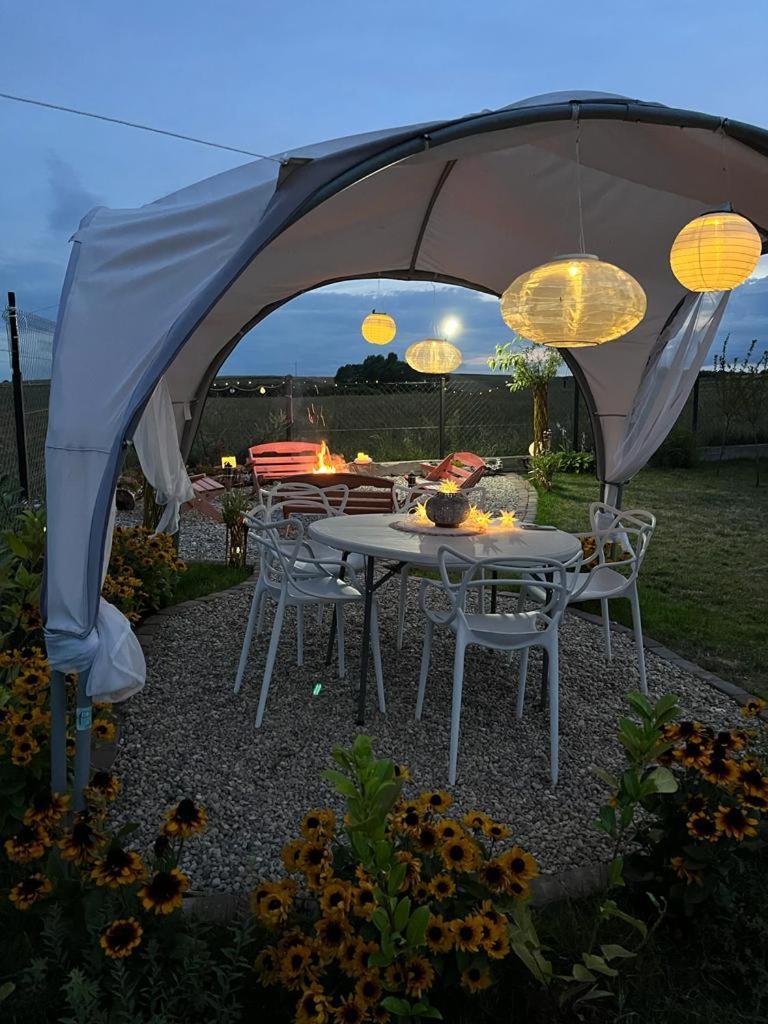 Ferienwohnung Liwa Garden Krzywa 11 Exterior foto